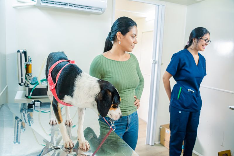  <div class='credito_fotos'>Foto: Karla Reis &nbsp;&nbsp;|&nbsp;&nbsp; <a href='/midias/2025/originais/8040_c04e4f15-3a67-aaa2-2fbe-6acab12ca1cb.jpg' download><i class='fa-solid fa-download'></i> Download</a></div>