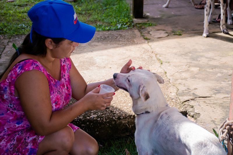  <div class='credito_fotos'>Foto: Karla Reis &nbsp;&nbsp;|&nbsp;&nbsp; <a href='/midias/2025/originais/8040_ce344d63-f15e-5d99-82ef-12f3d950ca1c.jpg' download><i class='fa-solid fa-download'></i> Download</a></div>