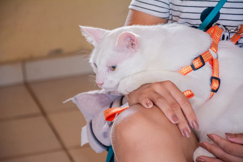  <div class='credito_fotos'>Foto: Karla Reis &nbsp;&nbsp;|&nbsp;&nbsp; <a href='/midias/2025/originais/8041_069dfbfb-12ae-7d7a-1f6a-5f48c9ee8b11.jpg' download><i class='fa-solid fa-download'></i> Download</a></div>