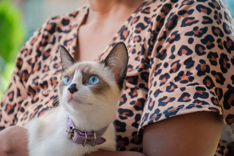  <div class='credito_fotos'>Foto: Karla Reis &nbsp;&nbsp;|&nbsp;&nbsp; <a href='/midias/2025/originais/8041_179a1a43-2e42-b1c3-186f-4b2280297afd.jpg' download><i class='fa-solid fa-download'></i> Download</a></div>