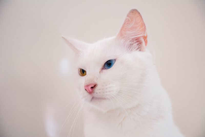  <div class='credito_fotos'>Foto: Karla Reis &nbsp;&nbsp;|&nbsp;&nbsp; <a href='/midias/2025/originais/8041_2fa847d7-171d-6087-5bd9-a99bf6af4758.jpg' download><i class='fa-solid fa-download'></i> Download</a></div>