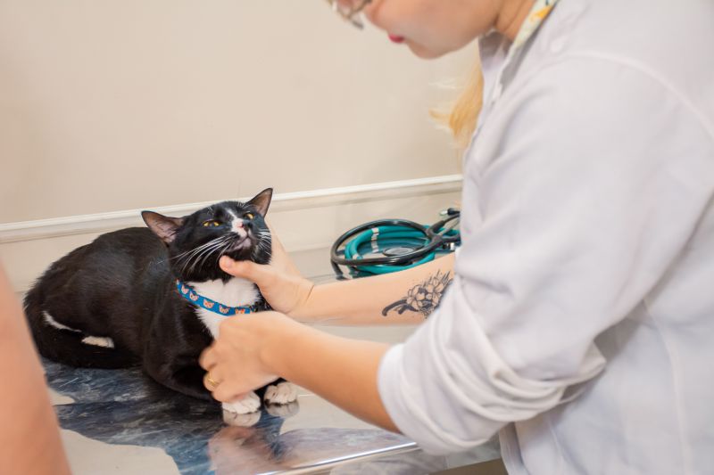  <div class='credito_fotos'>Foto: Karla Reis &nbsp;&nbsp;|&nbsp;&nbsp; <a href='/midias/2025/originais/8041_71a0e07e-efe9-02c1-f09a-09b3e0097322.jpg' download><i class='fa-solid fa-download'></i> Download</a></div>