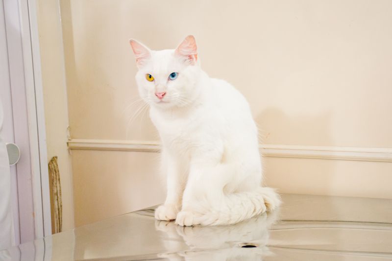  <div class='credito_fotos'>Foto: Karla Reis &nbsp;&nbsp;|&nbsp;&nbsp; <a href='/midias/2025/originais/8041_aa7669f9-160a-fb68-ae44-ca8a07361379.jpg' download><i class='fa-solid fa-download'></i> Download</a></div>