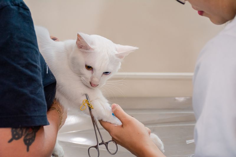  <div class='credito_fotos'>Foto: Karla Reis &nbsp;&nbsp;|&nbsp;&nbsp; <a href='/midias/2025/originais/8041_c548d816-4896-808c-2ebb-f6a9d17a0827.jpg' download><i class='fa-solid fa-download'></i> Download</a></div>