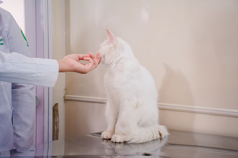  <div class='credito_fotos'>Foto: Karla Reis &nbsp;&nbsp;|&nbsp;&nbsp; <a href='/midias/2025/originais/8041_fa06f011-a01d-1b5e-8b3d-0c5bb8985209.jpg' download><i class='fa-solid fa-download'></i> Download</a></div>