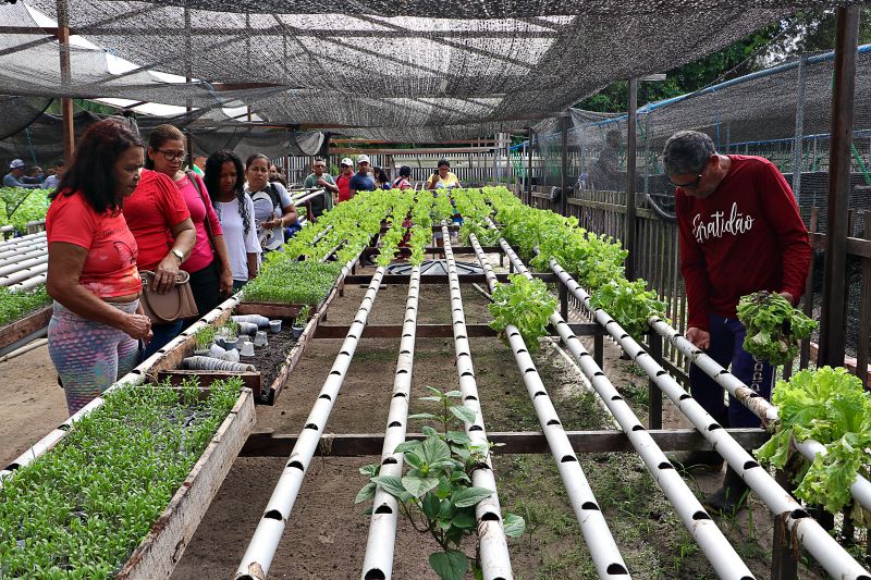 ENCERRAMENTO DO SEMINÁRIO DE PLANEJAMENTO SEMAGRI - VISITA A PROPRIEDADE SO SR LUIZ <div class='credito_fotos'>Foto: Márcio Souza &nbsp;&nbsp;|&nbsp;&nbsp; <a href='/midias/2025/originais/8050_509db133-295b-3b25-4a0f-c99cc841f996.jpg' download><i class='fa-solid fa-download'></i> Download</a></div>