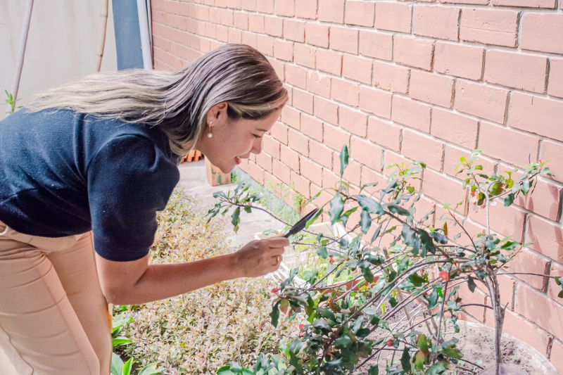  <div class='credito_fotos'>Foto: Karla Reis &nbsp;&nbsp;|&nbsp;&nbsp; <a href='/midias/2025/originais/8051_3b9bbb6f-5c27-85c2-e71e-63140e20760d.jpg' download><i class='fa-solid fa-download'></i> Download</a></div>