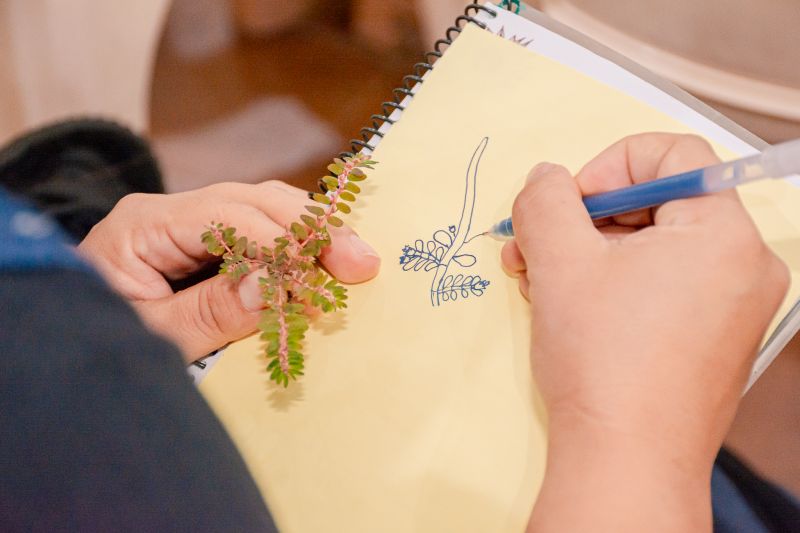  <div class='credito_fotos'>Foto: Karla Reis &nbsp;&nbsp;|&nbsp;&nbsp; <a href='/midias/2025/originais/8051_b79ee3de-63fc-9ee0-13f2-822ef536c7c0.jpg' download><i class='fa-solid fa-download'></i> Download</a></div>