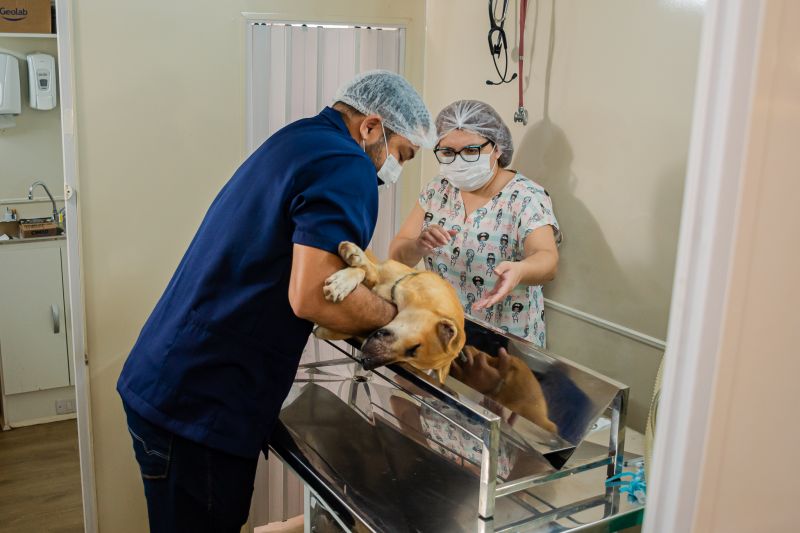  <div class='credito_fotos'>Foto: Karla Reis &nbsp;&nbsp;|&nbsp;&nbsp; <a href='/midias/2025/originais/8063_a0a794ad-e898-588d-abf1-766cc1dc54e0.jpg' download><i class='fa-solid fa-download'></i> Download</a></div>