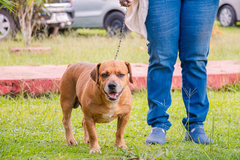  <div class='credito_fotos'>Foto: Karla Reis &nbsp;&nbsp;|&nbsp;&nbsp; <a href='/midias/2025/originais/8063_b0c49402-a95e-54ee-913b-7d627712a2bd.jpg' download><i class='fa-solid fa-download'></i> Download</a></div>