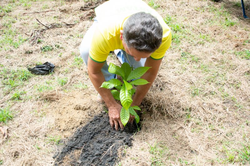  <div class='credito_fotos'>Foto: Karla Reis &nbsp;&nbsp;|&nbsp;&nbsp; <a href='/midias/2025/originais/8070_3cdf33bb-6d13-ba39-d519-174d2623630e.jpg' download><i class='fa-solid fa-download'></i> Download</a></div>