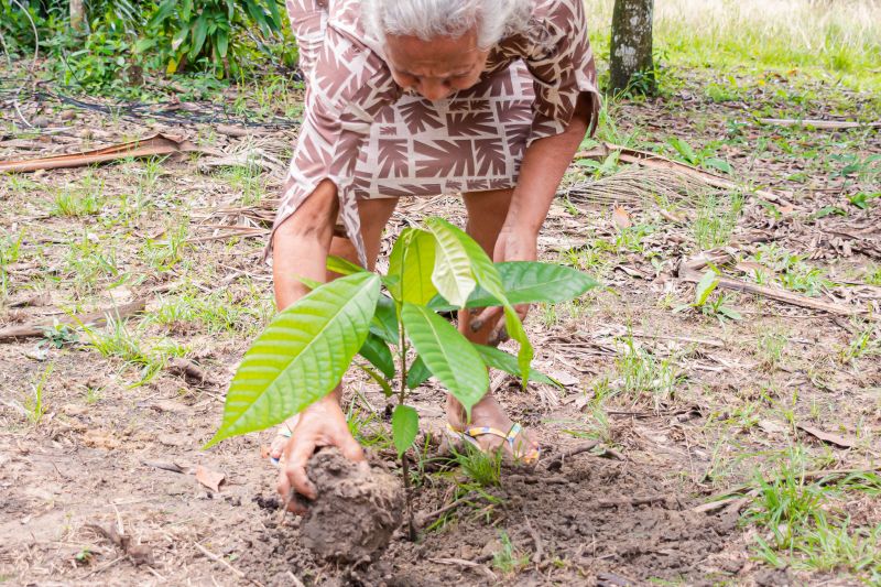  <div class='credito_fotos'>Foto: Karla Reis &nbsp;&nbsp;|&nbsp;&nbsp; <a href='/midias/2025/originais/8070_55f81a9a-ff5a-5a9f-a291-4fed7cc2f579.jpg' download><i class='fa-solid fa-download'></i> Download</a></div>