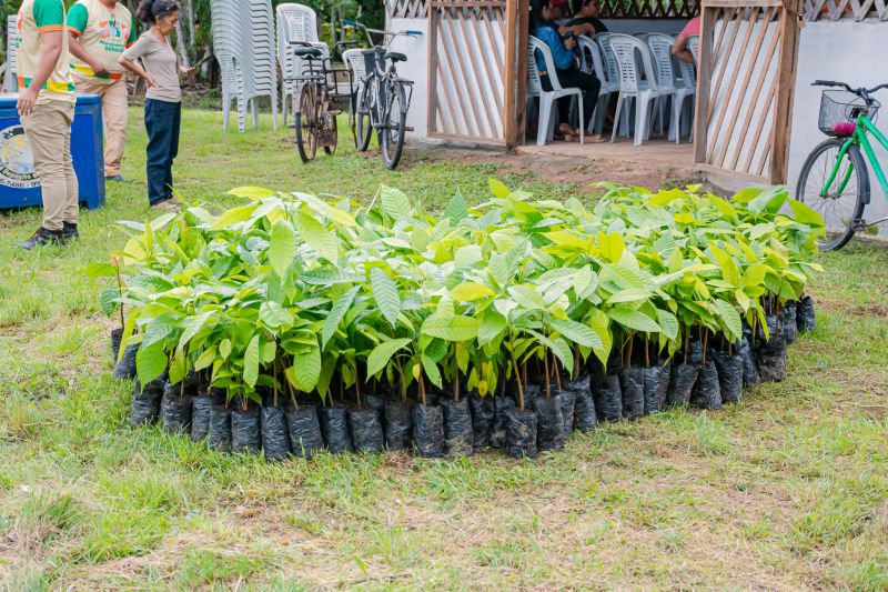  <div class='credito_fotos'>Foto: Karla Reis &nbsp;&nbsp;|&nbsp;&nbsp; <a href='/midias/2025/originais/8070_5f49a9da-c010-3f5e-a20d-ba9a7ba55fd7.jpg' download><i class='fa-solid fa-download'></i> Download</a></div>