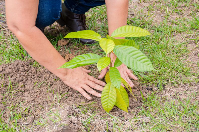  <div class='credito_fotos'>Foto: Karla Reis &nbsp;&nbsp;|&nbsp;&nbsp; <a href='/midias/2025/originais/8070_9040462a-c497-54e0-f2b3-06e57ec01ee3.jpg' download><i class='fa-solid fa-download'></i> Download</a></div>