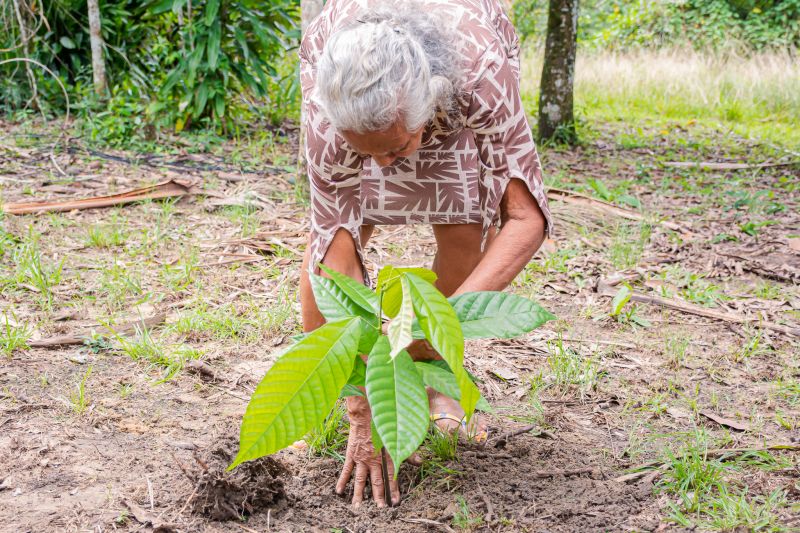  <div class='credito_fotos'>Foto: Karla Reis &nbsp;&nbsp;|&nbsp;&nbsp; <a href='/midias/2025/originais/8070_ae4287ac-2aab-10cf-22a1-e89fe56ffddf.jpg' download><i class='fa-solid fa-download'></i> Download</a></div>