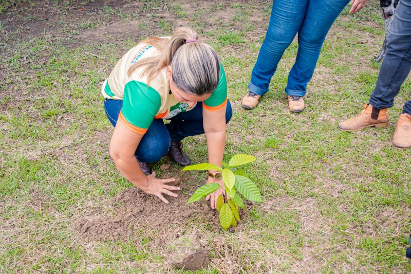  <div class='credito_fotos'>Foto: Karla Reis &nbsp;&nbsp;|&nbsp;&nbsp; <a href='/midias/2025/originais/8070_de37b0a4-b28b-0e7e-3889-8a0feaf0b80a.jpg' download><i class='fa-solid fa-download'></i> Download</a></div>