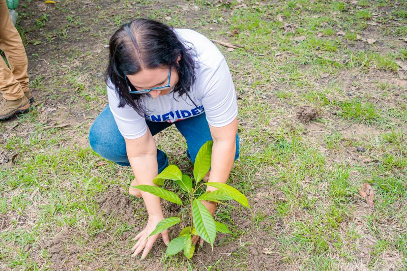  <div class='credito_fotos'>Foto: Karla Reis &nbsp;&nbsp;|&nbsp;&nbsp; <a href='/midias/2025/originais/8070_f23492ba-54e8-f85d-3ee9-ba1f440e9e52.jpg' download><i class='fa-solid fa-download'></i> Download</a></div>