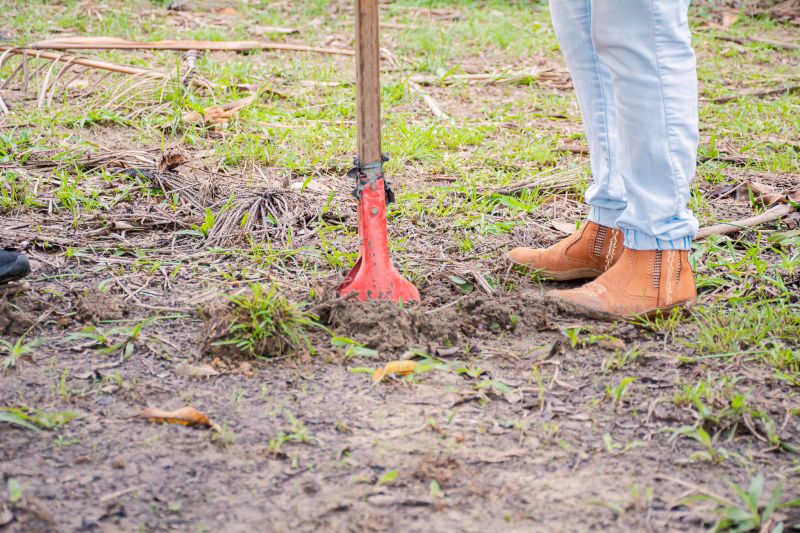  <div class='credito_fotos'>Foto: Karla Reis &nbsp;&nbsp;|&nbsp;&nbsp; <a href='/midias/2025/originais/8070_f3b0a38b-fe3f-ce89-694a-a836cd80fb0c.jpg' download><i class='fa-solid fa-download'></i> Download</a></div>