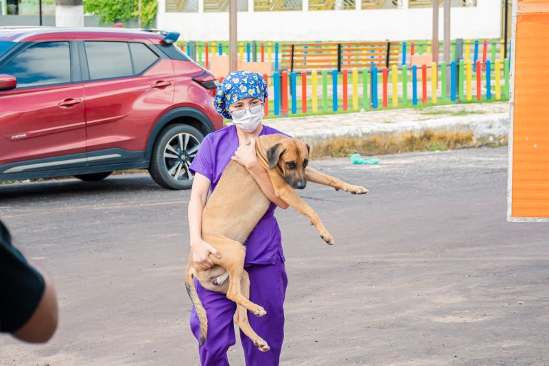  <div class='credito_fotos'>Foto: Karla Reis &nbsp;&nbsp;|&nbsp;&nbsp; <a href='/midias/2025/originais/8087_ba15b24c-52f1-5b54-4a50-507797a18675.jpg' download><i class='fa-solid fa-download'></i> Download</a></div>