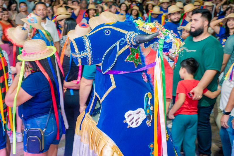  <div class='credito_fotos'>Foto: Karla Reis &nbsp;&nbsp;|&nbsp;&nbsp; <a href='/midias/2025/originais/8090_34ec106e-c4c2-6519-b82a-9f5ac00e3a30.jpg' download><i class='fa-solid fa-download'></i> Download</a></div>