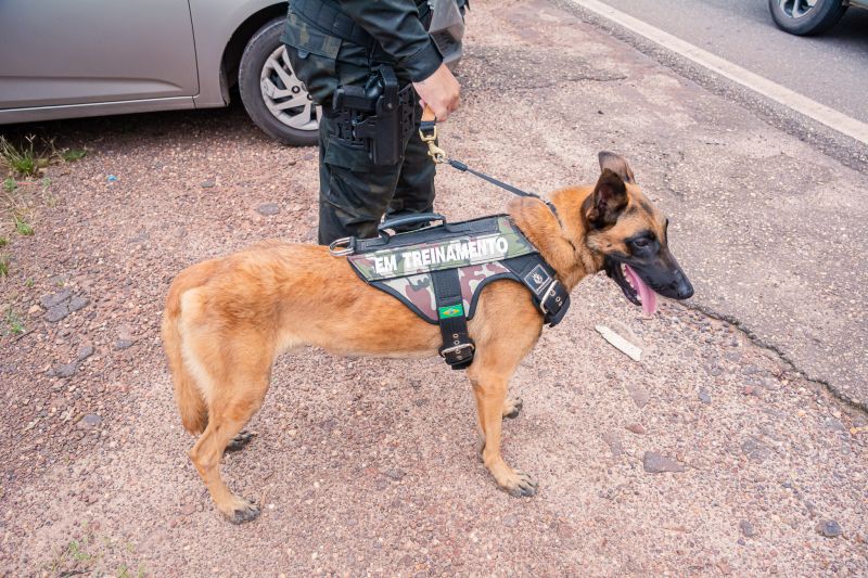  <div class='credito_fotos'>Foto: Karla Reis &nbsp;&nbsp;|&nbsp;&nbsp; <a href='/midias/2025/originais/8105_adb948fe-1761-fb21-f9a4-2b5fb07ad82d.jpg' download><i class='fa-solid fa-download'></i> Download</a></div>