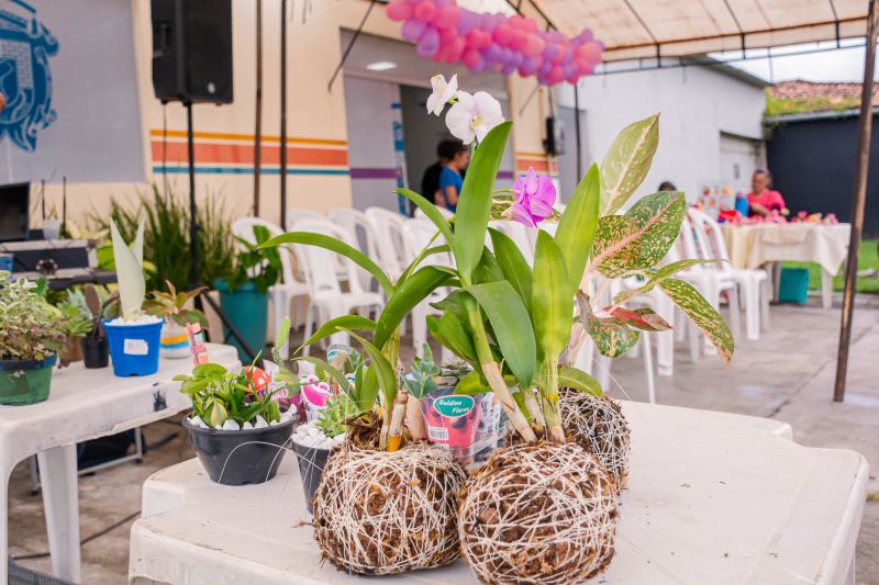  <div class='credito_fotos'>Foto: Karla Reis &nbsp;&nbsp;|&nbsp;&nbsp; <a href='/midias/2025/originais/8112_c140037c-6962-ae33-4292-2f839a551b7a.jpg' download><i class='fa-solid fa-download'></i> Download</a></div>