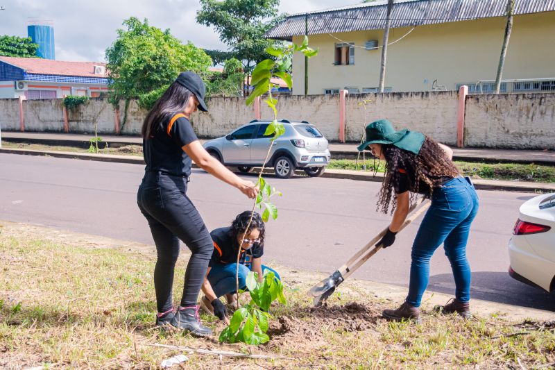  <div class='credito_fotos'>Foto: Karla Reis &nbsp;&nbsp;|&nbsp;&nbsp; <a href='/midias/2025/originais/9116_6731e4d9-0806-6b44-c80c-0fcf1bc9484e.jpg' download><i class='fa-solid fa-download'></i> Download</a></div>