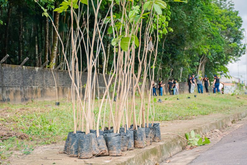  <div class='credito_fotos'>Foto: Karla Reis &nbsp;&nbsp;|&nbsp;&nbsp; <a href='/midias/2025/originais/9116_6927f72f-f143-12c6-a561-7157c3cffa59.jpg' download><i class='fa-solid fa-download'></i> Download</a></div>