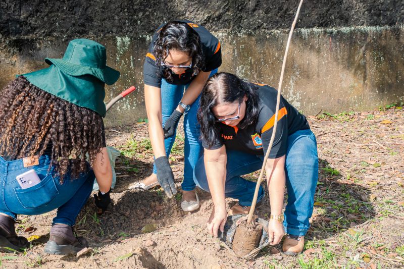  <div class='credito_fotos'>Foto: Karla Reis &nbsp;&nbsp;|&nbsp;&nbsp; <a href='/midias/2025/originais/9116_bd2f6953-5dbc-38c3-4821-2af112940fbf.jpg' download><i class='fa-solid fa-download'></i> Download</a></div>