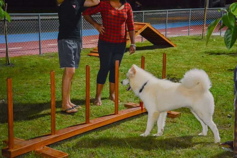  <div class='credito_fotos'>Foto: Karla Reis &nbsp;&nbsp;|&nbsp;&nbsp; <a href='/midias/2025/originais/9130_694ed122-369f-4bab-932b-a5b88ef390f8.jpg' download><i class='fa-solid fa-download'></i> Download</a></div>