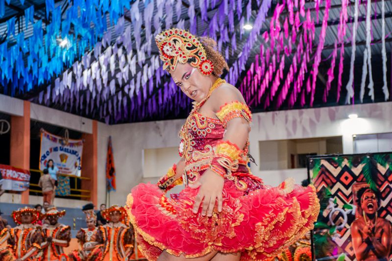  <div class='credito_fotos'>Foto: Karla Reis &nbsp;&nbsp;|&nbsp;&nbsp; <a href='/midias/2025/originais/9135_1de26c04-d5fc-6c4b-292e-1fcb6fb369f8.jpg' download><i class='fa-solid fa-download'></i> Download</a></div>