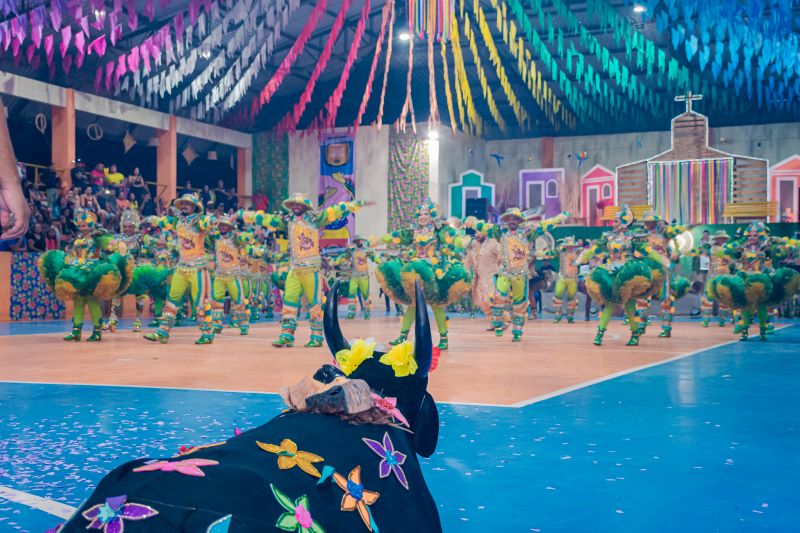  <div class='credito_fotos'>Foto: Karla Reis &nbsp;&nbsp;|&nbsp;&nbsp; <a href='/midias/2025/originais/9135_3b20e919-5085-e01b-eeaa-31810a2e3d11.jpg' download><i class='fa-solid fa-download'></i> Download</a></div>