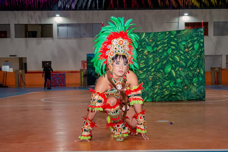  <div class='credito_fotos'>Foto: Karla Reis &nbsp;&nbsp;|&nbsp;&nbsp; <a href='/midias/2025/originais/9136_39e6b5f4-7de8-4e79-e3f5-de86d1ff880e.jpg' download><i class='fa-solid fa-download'></i> Download</a></div>