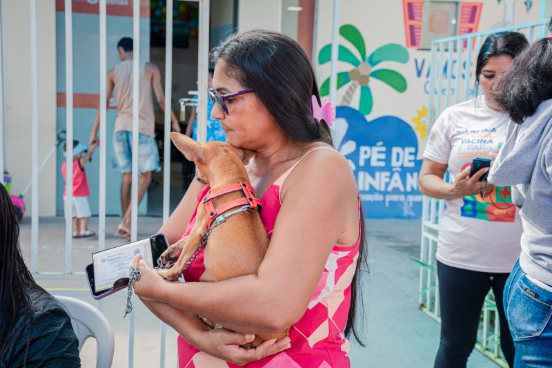  <div class='credito_fotos'>Foto: Karla Reis &nbsp;&nbsp;|&nbsp;&nbsp; <a href='/midias/2025/originais/9137_128e60b7-d5be-c186-dc3c-c71b4eaa1ddd.jpg' download><i class='fa-solid fa-download'></i> Download</a></div>