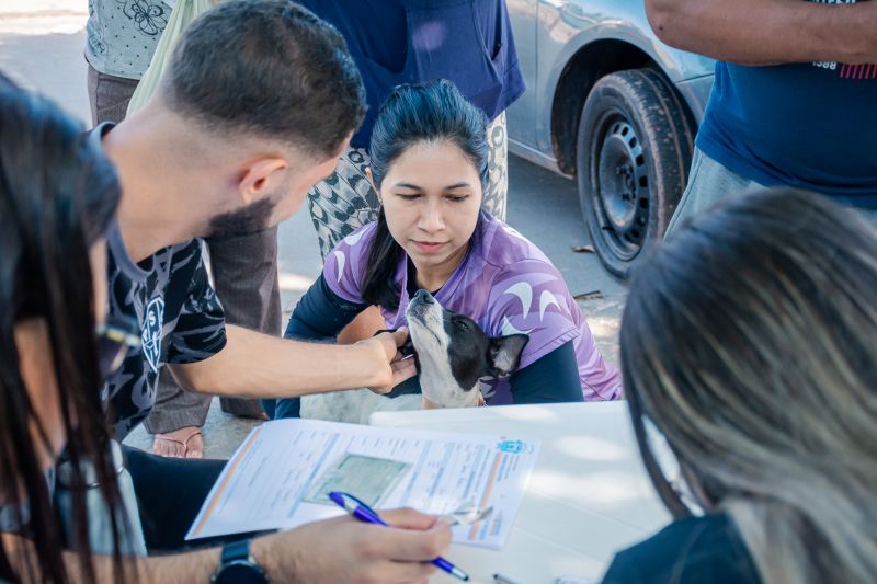  <div class='credito_fotos'>Foto: Karla Reis &nbsp;&nbsp;|&nbsp;&nbsp; <a href='/midias/2025/originais/9137_3eddaacf-97f5-cd1b-4212-969e1417938a.jpg' download><i class='fa-solid fa-download'></i> Download</a></div>