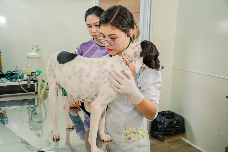  <div class='credito_fotos'>Foto: Karla Reis &nbsp;&nbsp;|&nbsp;&nbsp; <a href='/midias/2025/originais/9137_7541a51d-6c0d-9b20-14b8-a0227e036819.jpg' download><i class='fa-solid fa-download'></i> Download</a></div>