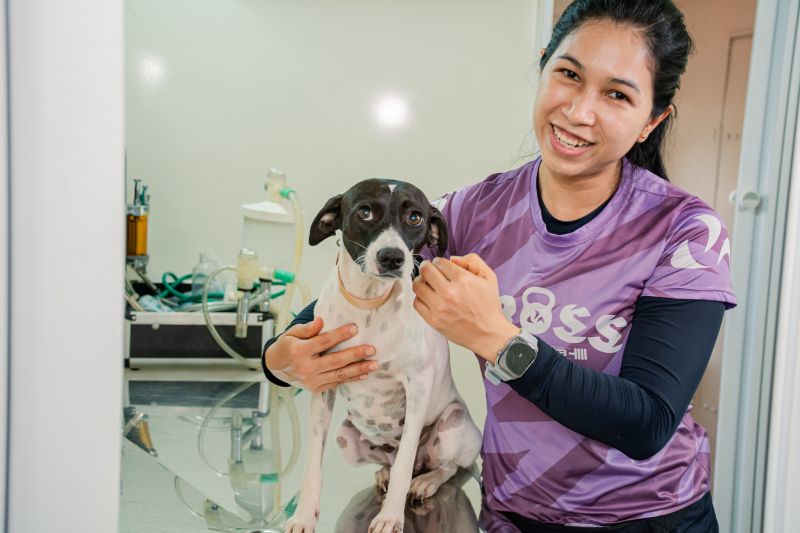  <div class='credito_fotos'>Foto: Karla Reis &nbsp;&nbsp;|&nbsp;&nbsp; <a href='/midias/2025/originais/9137_86ebe768-bdbd-3ad3-1d0e-f8e15788fe25.jpg' download><i class='fa-solid fa-download'></i> Download</a></div>