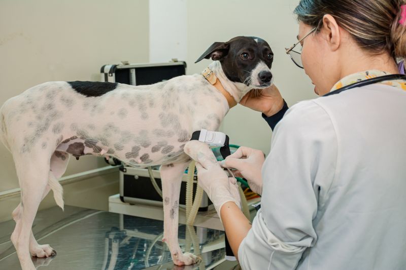  <div class='credito_fotos'>Foto: Karla Reis &nbsp;&nbsp;|&nbsp;&nbsp; <a href='/midias/2025/originais/9137_8fbb3d01-9410-3f69-57b8-796df660f8b1.jpg' download><i class='fa-solid fa-download'></i> Download</a></div>