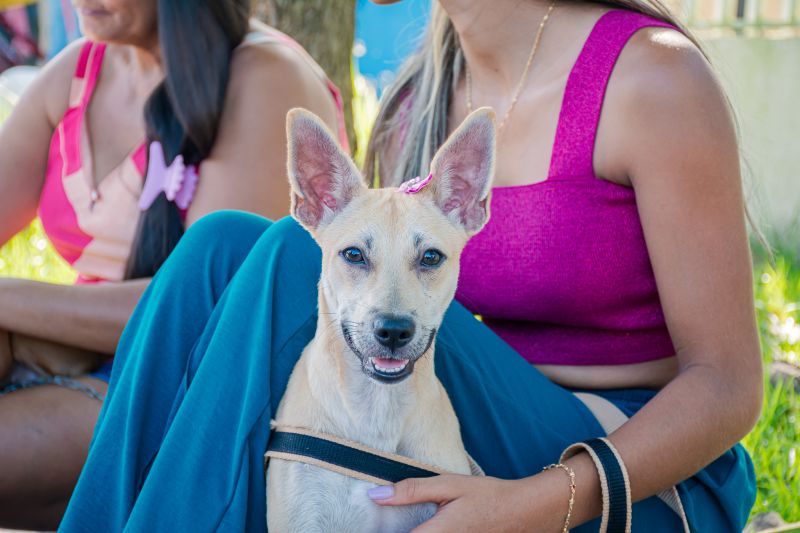  <div class='credito_fotos'>Foto: Karla Reis &nbsp;&nbsp;|&nbsp;&nbsp; <a href='/midias/2025/originais/9137_aa7cbd26-eea8-d8a0-5939-6152ede9fadd.jpg' download><i class='fa-solid fa-download'></i> Download</a></div>