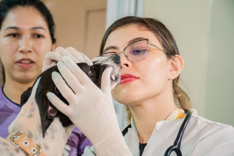  <div class='credito_fotos'>Foto: Karla Reis &nbsp;&nbsp;|&nbsp;&nbsp; <a href='/midias/2025/originais/9137_d4e61732-d397-8518-d7df-ceae2ffbe658.jpg' download><i class='fa-solid fa-download'></i> Download</a></div>