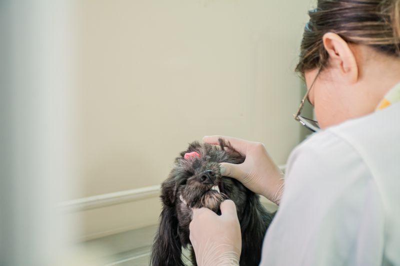  <div class='credito_fotos'>Foto: Karla Reis &nbsp;&nbsp;|&nbsp;&nbsp; <a href='/midias/2025/originais/9137_fa2dd805-ad96-cd40-9edf-d757dc1366f0.jpg' download><i class='fa-solid fa-download'></i> Download</a></div>