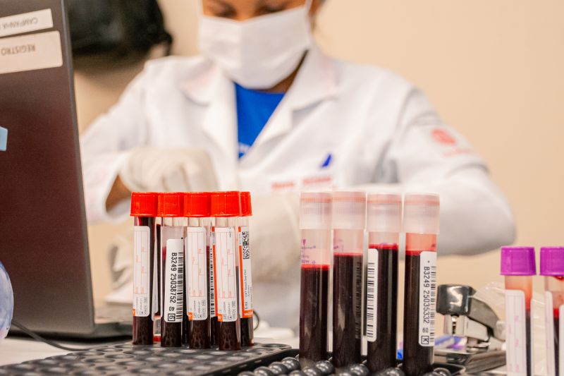  <div class='credito_fotos'>Foto: Karla Reis &nbsp;&nbsp;|&nbsp;&nbsp; <a href='/midias/2025/originais/9148_8685616b-d8f3-6d93-0896-fb9a5c15f384.jpg' download><i class='fa-solid fa-download'></i> Download</a></div>