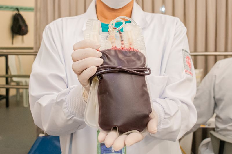  <div class='credito_fotos'>Foto: Karla Reis &nbsp;&nbsp;|&nbsp;&nbsp; <a href='/midias/2025/originais/9148_c506ef01-c873-ca1b-2eab-4864a196f470.jpg' download><i class='fa-solid fa-download'></i> Download</a></div>