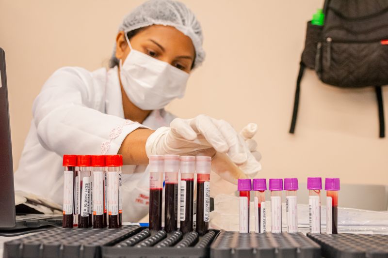  <div class='credito_fotos'>Foto: Karla Reis &nbsp;&nbsp;|&nbsp;&nbsp; <a href='/midias/2025/originais/9148_d7c33cb2-b2f3-b271-c52d-d690d738376b.jpg' download><i class='fa-solid fa-download'></i> Download</a></div>