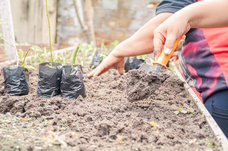  <div class='credito_fotos'>Foto: Karla Reis &nbsp;&nbsp;|&nbsp;&nbsp; <a href='/midias/2025/originais/9150_10fc984d-056e-fcb3-210a-2b05bd227334.jpg' download><i class='fa-solid fa-download'></i> Download</a></div>