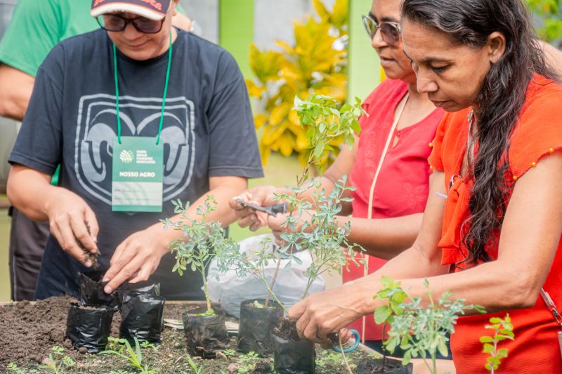  <div class='credito_fotos'>Foto: Karla Reis &nbsp;&nbsp;|&nbsp;&nbsp; <a href='/midias/2025/originais/9150_2a028402-37c9-5425-eb22-c1667554c685.jpg' download><i class='fa-solid fa-download'></i> Download</a></div>