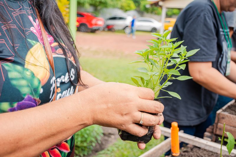  <div class='credito_fotos'>Foto: Karla Reis &nbsp;&nbsp;|&nbsp;&nbsp; <a href='/midias/2025/originais/9150_2bf388e0-70d0-e1e6-395e-d44acb0cecf4.jpg' download><i class='fa-solid fa-download'></i> Download</a></div>