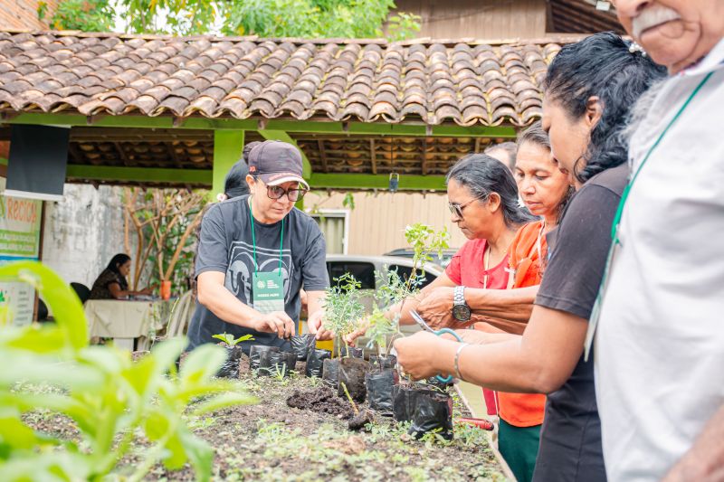  <div class='credito_fotos'>Foto: Karla Reis &nbsp;&nbsp;|&nbsp;&nbsp; <a href='/midias/2025/originais/9150_4c1e5d07-c593-f33d-9cd6-21967767f7c8.jpg' download><i class='fa-solid fa-download'></i> Download</a></div>