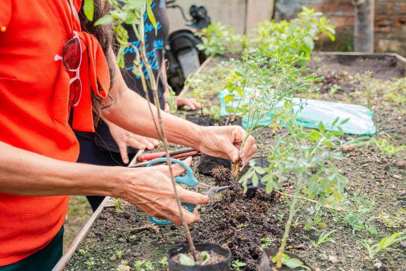  <div class='credito_fotos'>Foto: Karla Reis &nbsp;&nbsp;|&nbsp;&nbsp; <a href='/midias/2025/originais/9150_895bc6a4-e8ec-f332-4ec5-40ba2ae573f6.jpg' download><i class='fa-solid fa-download'></i> Download</a></div>