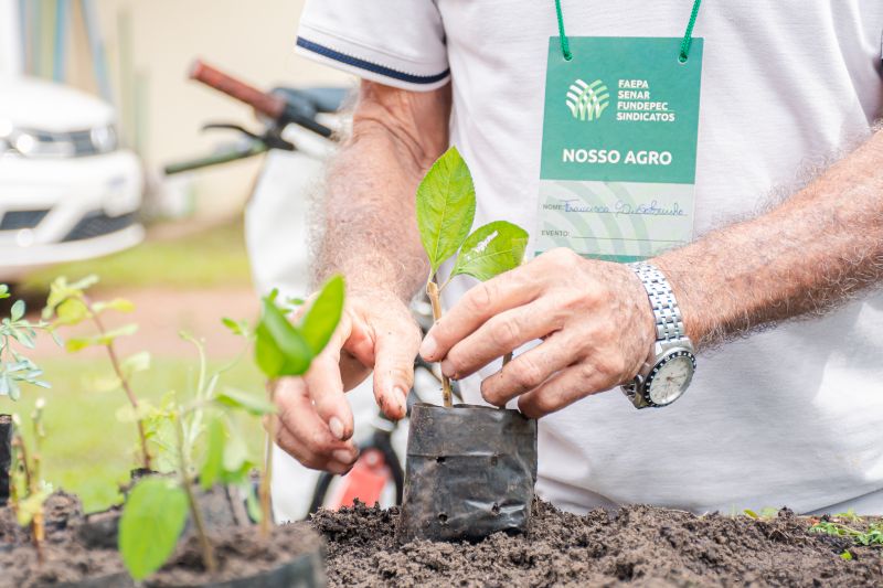  <div class='credito_fotos'>Foto: Karla Reis &nbsp;&nbsp;|&nbsp;&nbsp; <a href='/midias/2025/originais/9150_8b162005-6192-fe6c-bbee-273d60fd534b.jpg' download><i class='fa-solid fa-download'></i> Download</a></div>